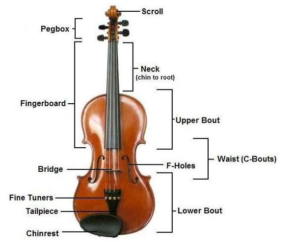 Violin leader advice